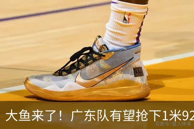 大鱼来了！广东队有望抢下1米92高后卫，这可是徐杰的替补首选？