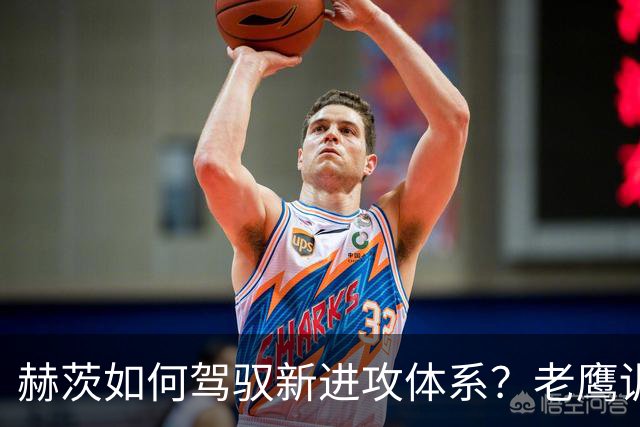 赫茨如何驾驭新进攻体系？老鹰训练营最大疑问浮现